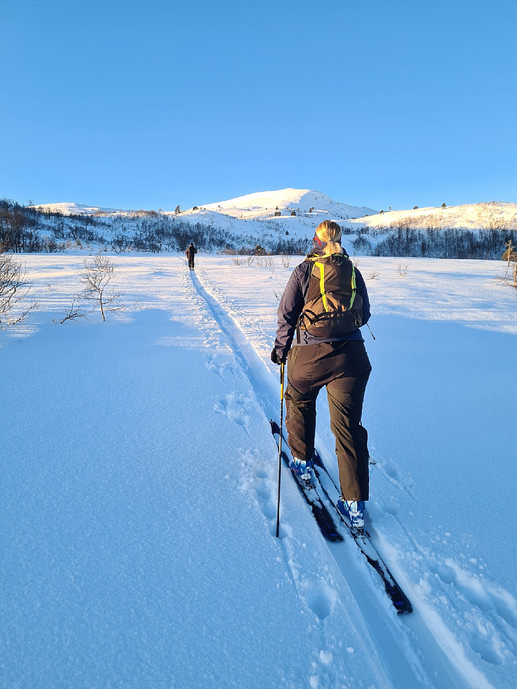Oppe i Mjelvedalen med stø kurs