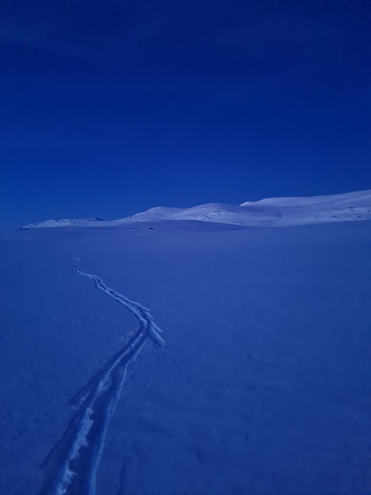 Utrolig flott blåtime denne kvelden