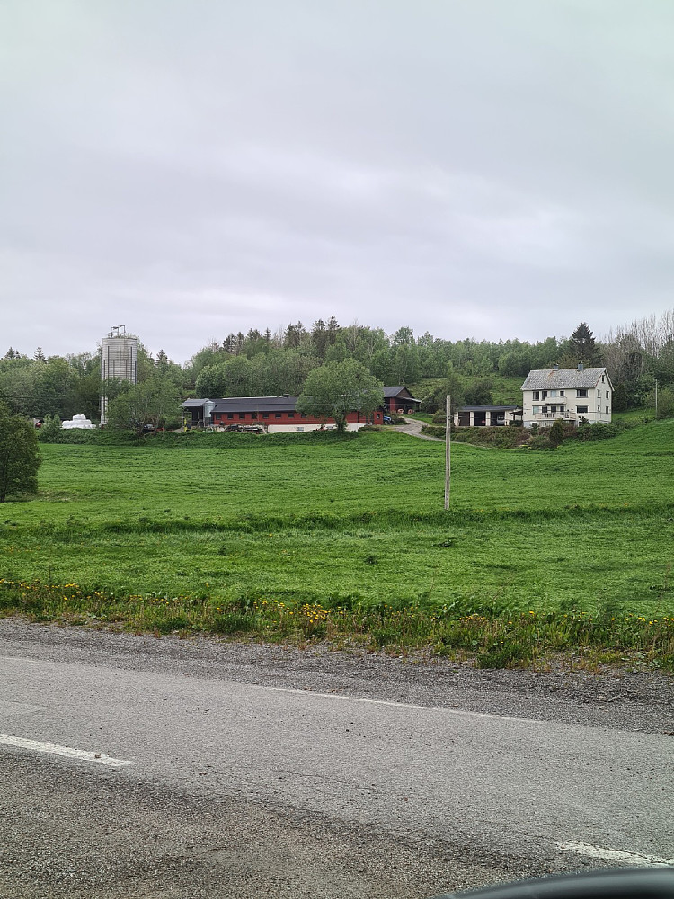 Våg