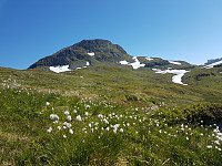 ericpf_20240909_66df2533bbb0a.jpg