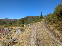 ericpf_20250518_682a3e842cef6.jpg