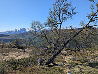 ericpf_20250518_682a3e967a42f.jpg