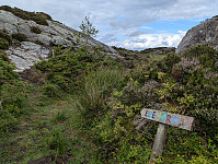 ericpf_20250727_6886205a615aa.jpg
