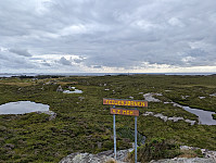 ericpf_20250727_6886205dc3d29.jpg