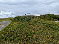 ericpf_20250727_6886206176f68.jpg