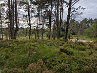 ericpf_20250727_688621a64a59e.jpg