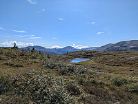 ericpf_20250824_68ab51d1ac6d9.jpg