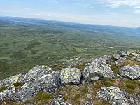 Harex_20210717_60f2d061847d5.jpg