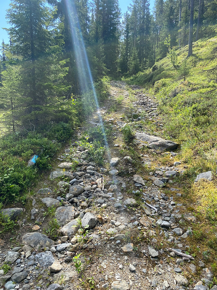 700 m og 250 hm igjen…