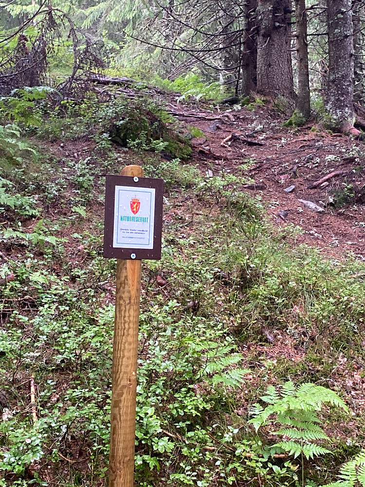 Selve høgda ligger i et naturreservat.