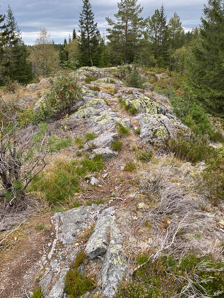Båhushøgda 451 moh