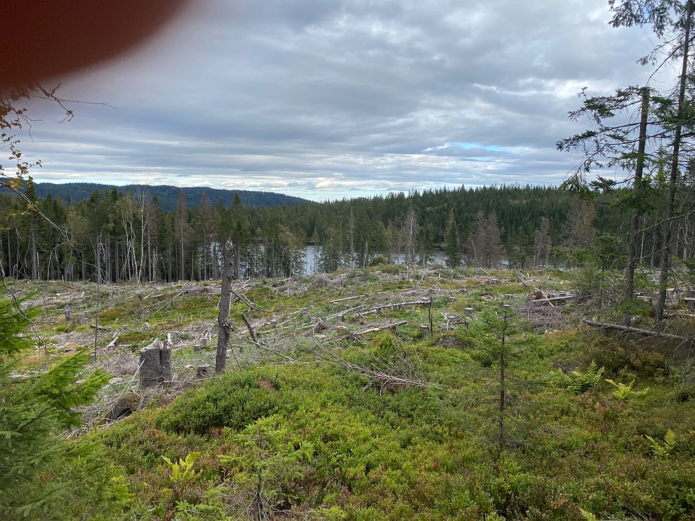 Fagervannet 416 moh