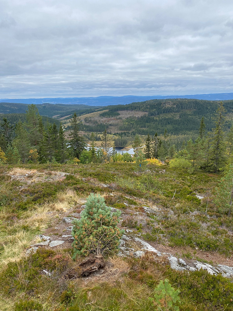 Knuksjøen fra Knukberget