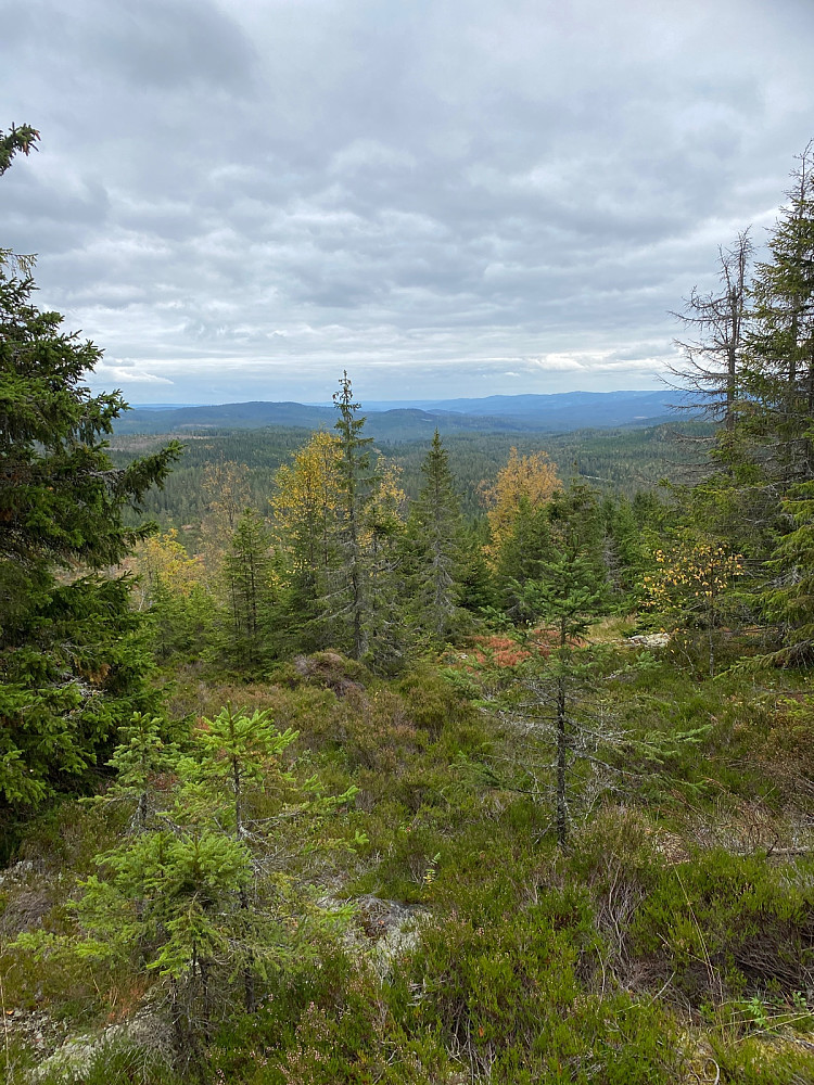 Sørover fra Knukberget. Tatt fra stien på ca 565 moh