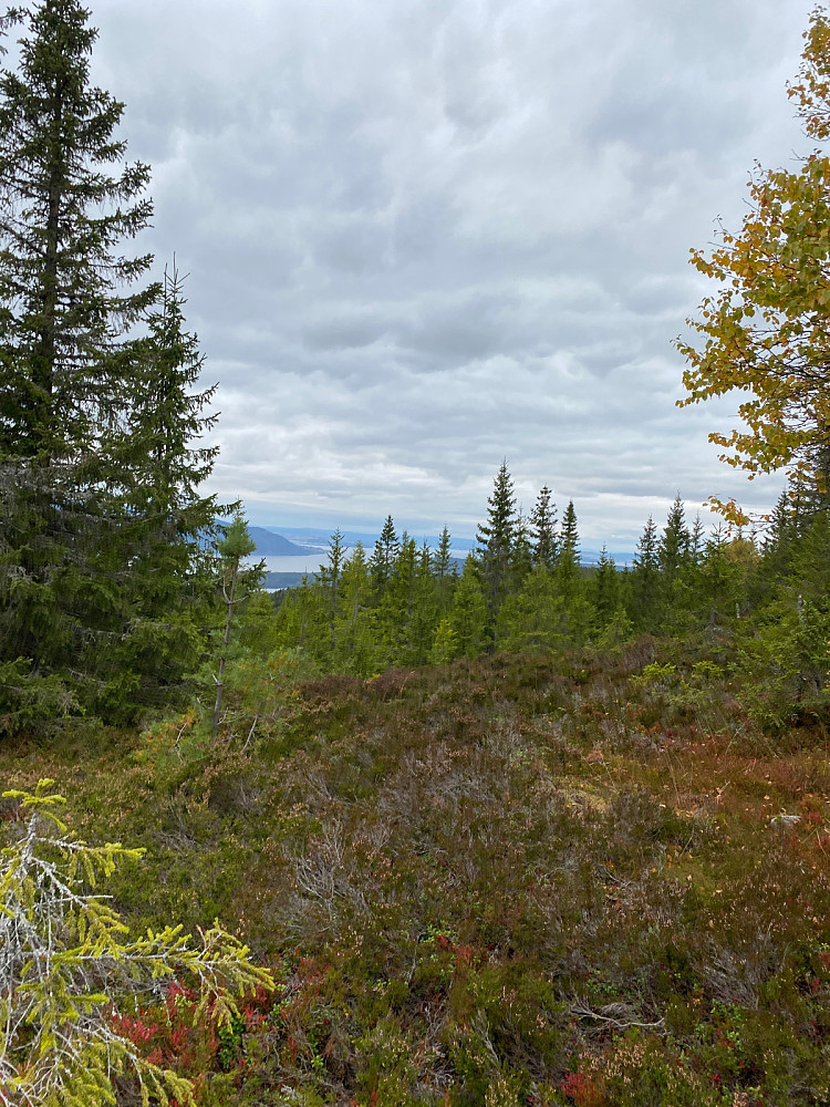 Utsikt mot Mjøsa ca 200 m sør for toppen