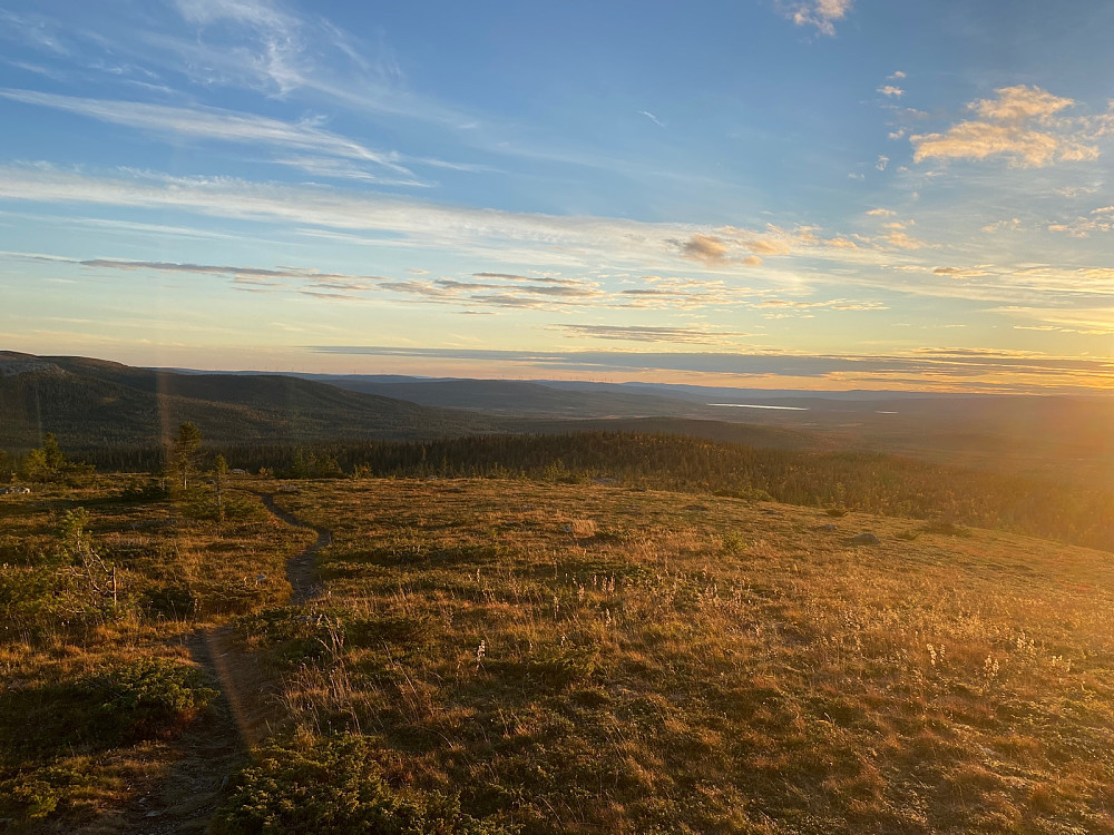 Vestover mot vindmøllene ved Osensjøen