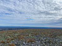 Harex_20210926_615052becdc7b.jpg