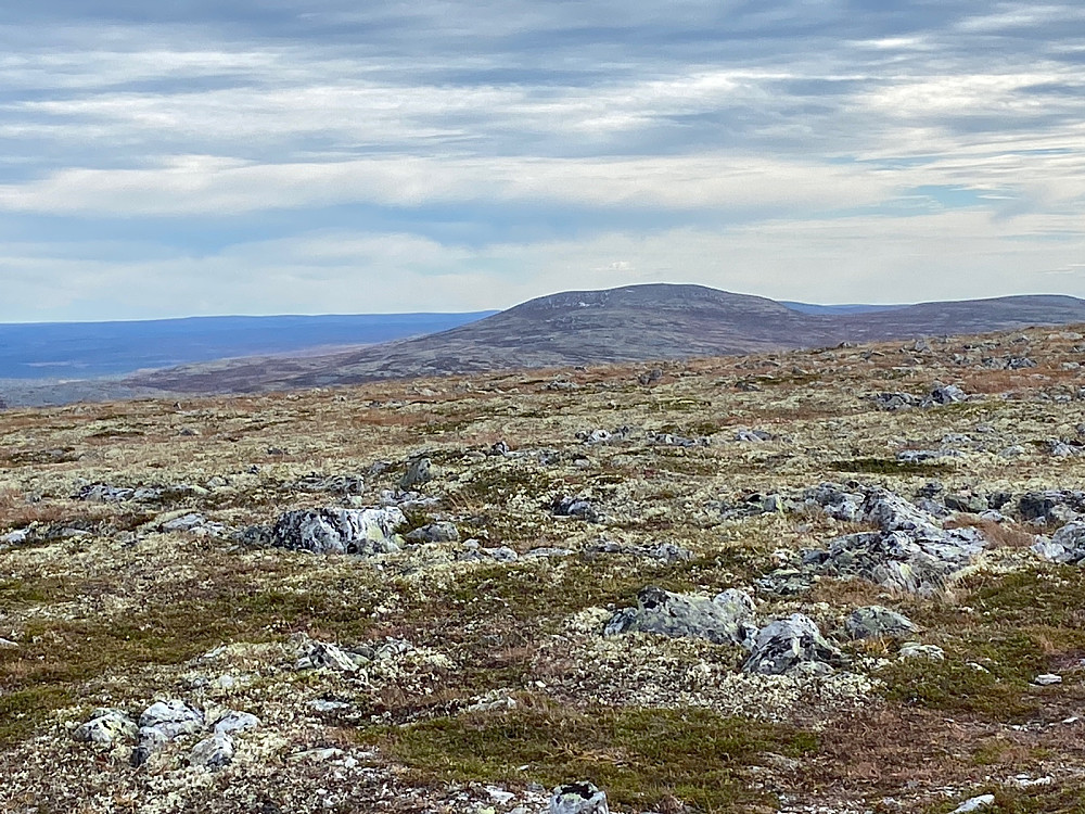 Østerhogna der heg var for et par timer siden