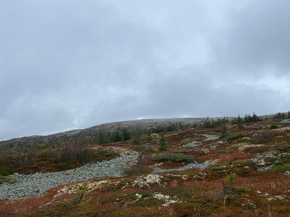 Klarnet opp litt på returen. Gråfjell kan ses.