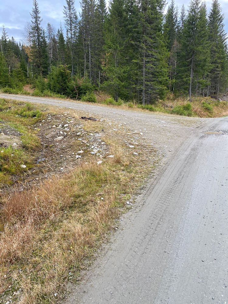 535 moh og tar Kampeveien til venstre her. 230 hm på sykkelen unnagjort. Puh!