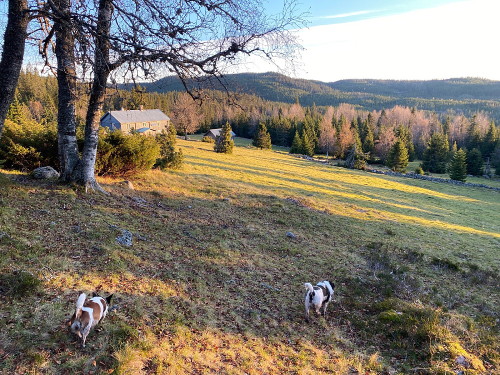 Snellingen seter