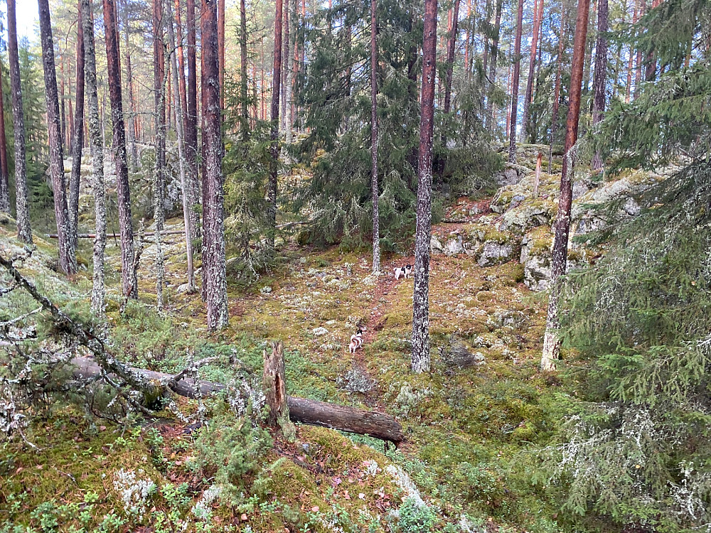 Kløft litt sør for toppen. Fulgte svak sti/tråkk