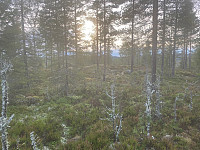 Harex_20211106_61867b7d114b6.jpg