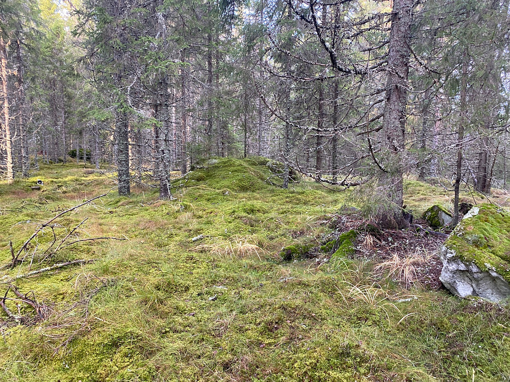 Brattliaberget