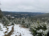 Harex_20211113_618fc665b8091.jpg