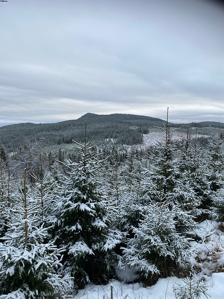 Nordliskampen. Ikke lenge siden jeg var der