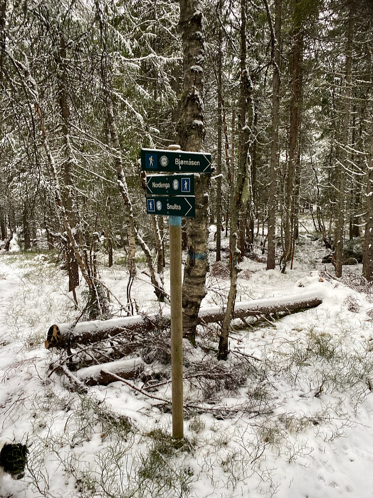 Siste stikryss. 1,2 km til toppen