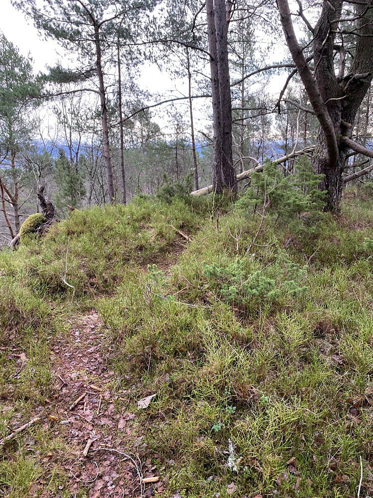 Dolvikfjellets høyeste punkt.