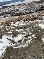 Harex_20211127_61a22639ce3e3.jpg