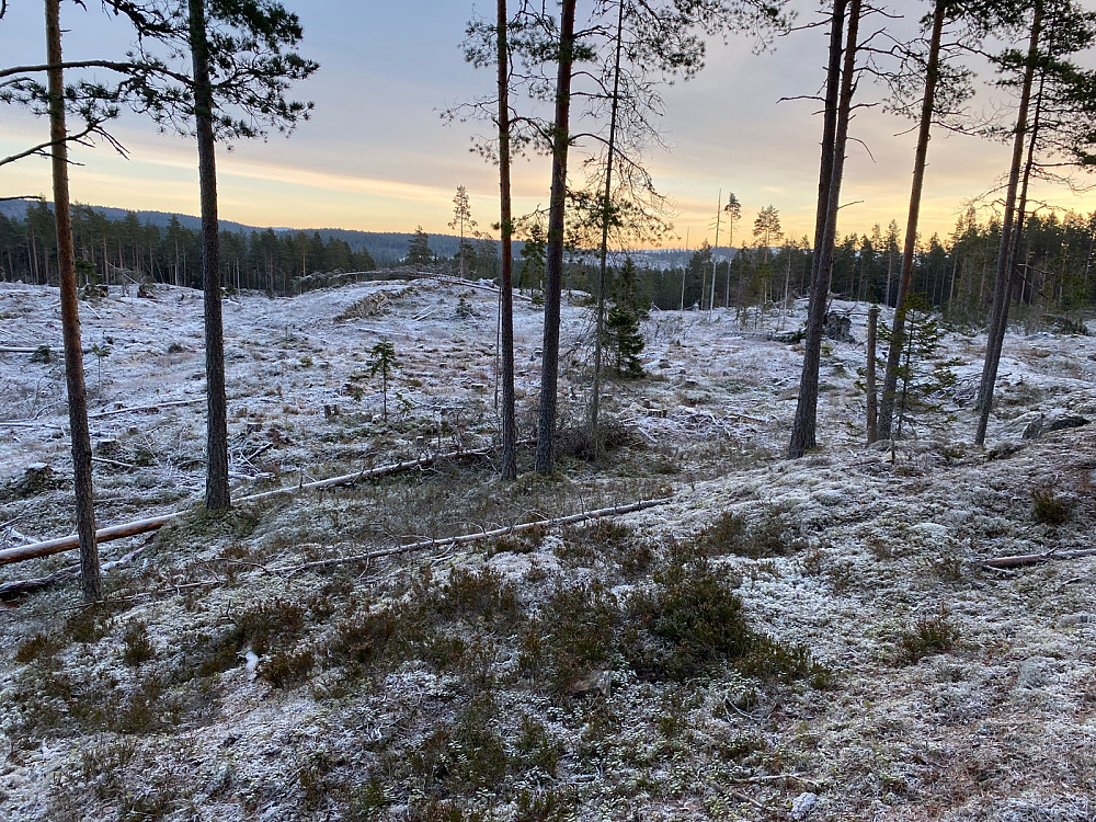 Fra Vennevålshøgda