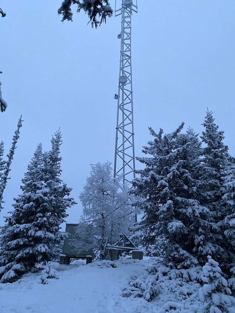 Tårnet noen hundre meter fra toppen. Ett av minst 3 toppunkter