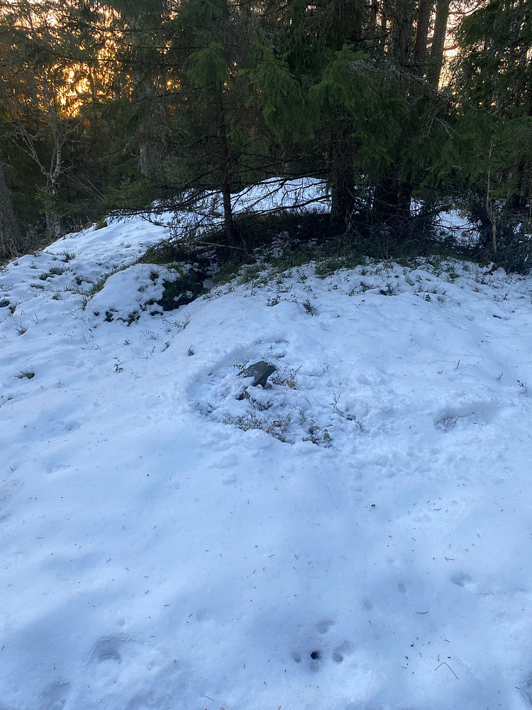 Sparket bort litt snø som dekket «røysa» på toppunktet.
