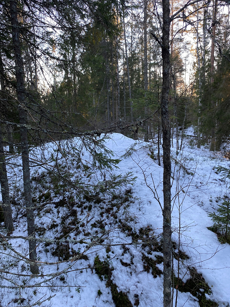 Nordtoppen