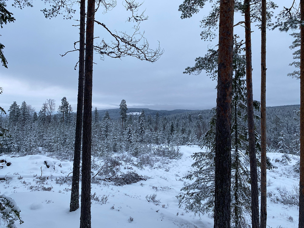 Mot Ursberghøgda fra Aulihøgda