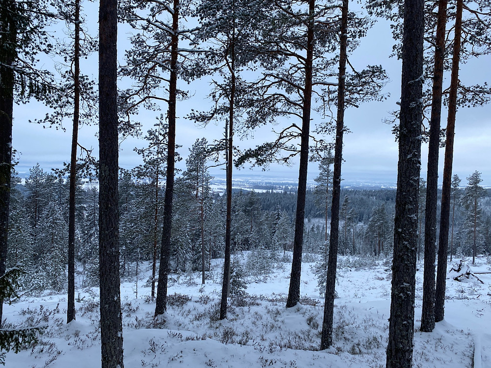 Fra Aulihøgda mot Skøyenteiet og Oppakermien