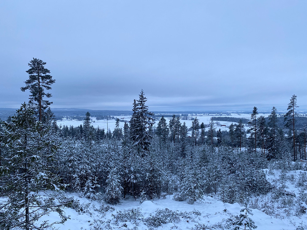 Fra Knatten mot Vennevål, Auligprdene og Årnes i bakkant.