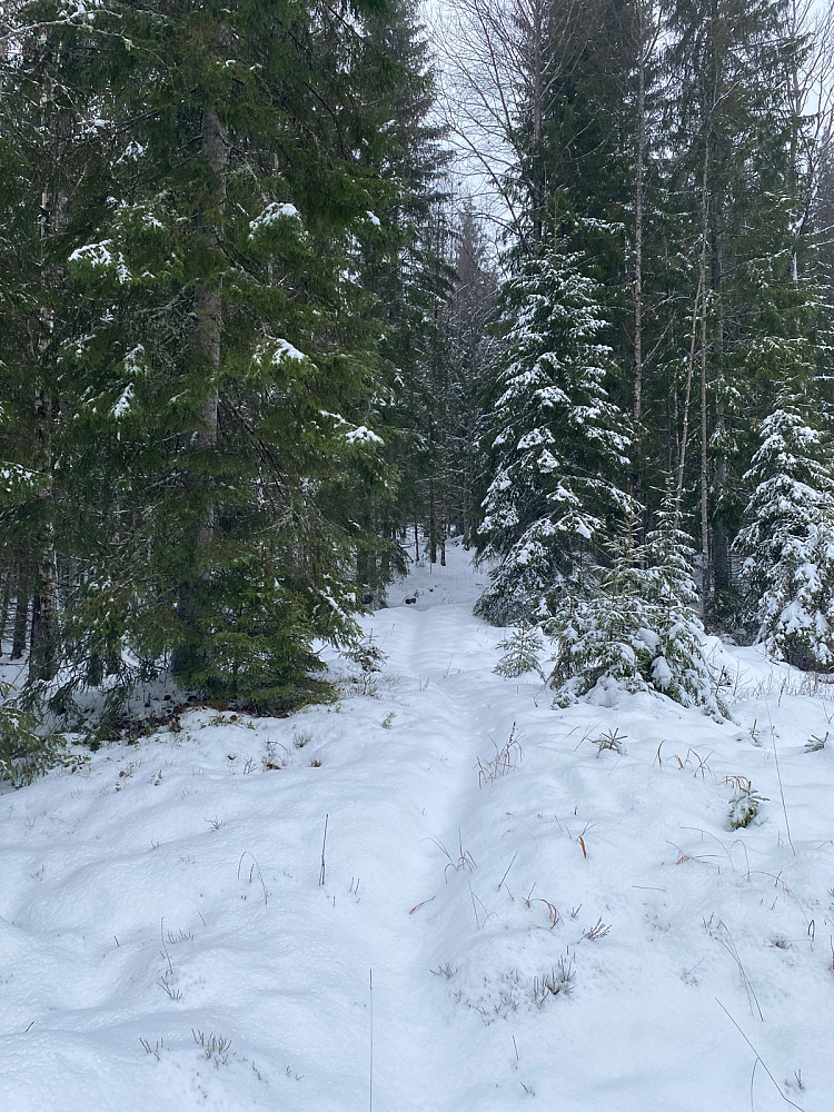 Greit å følge stien i urørt snø.