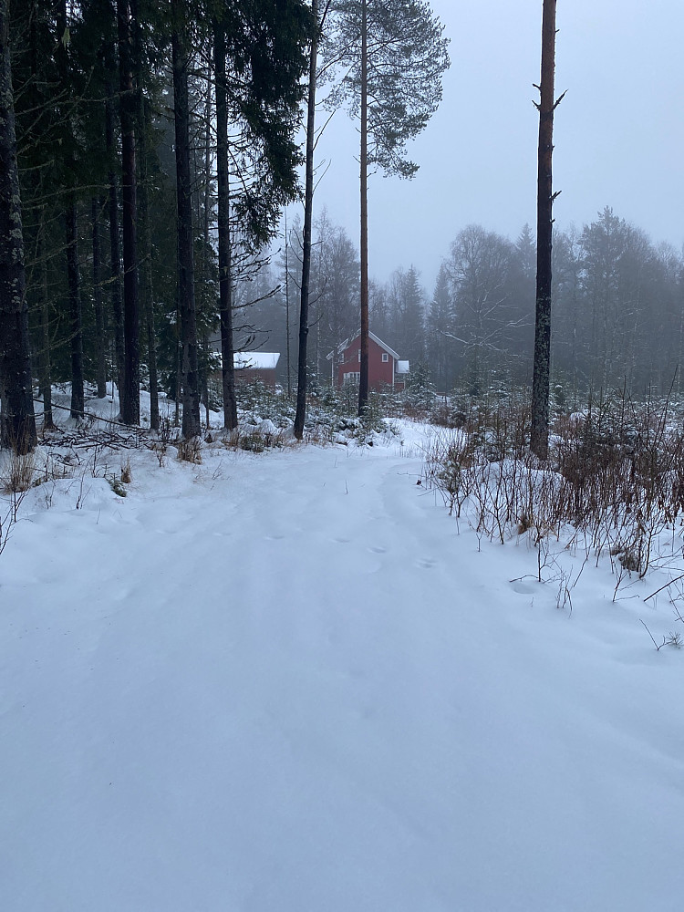 Kom inn på veien ved ei hytte sør for toppen. Fulgte veien ca 200 m.