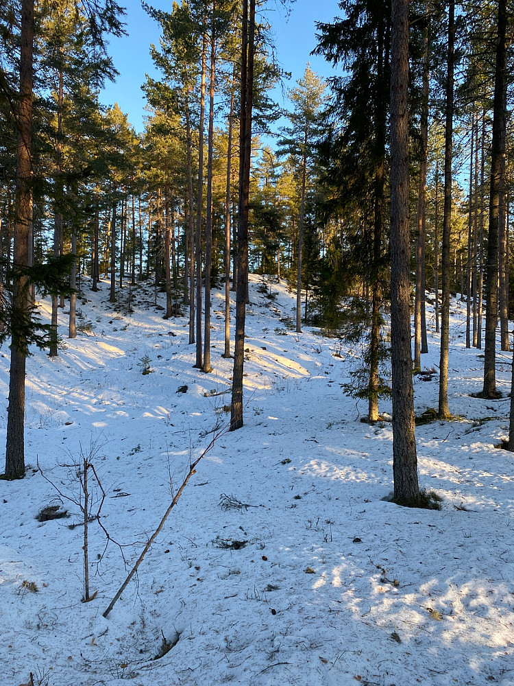 Mot toppen fra der jeg forlot stien