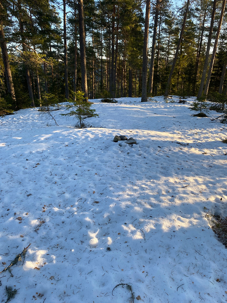 Toppen etter 11 min. Litt snøvassing siste biten.