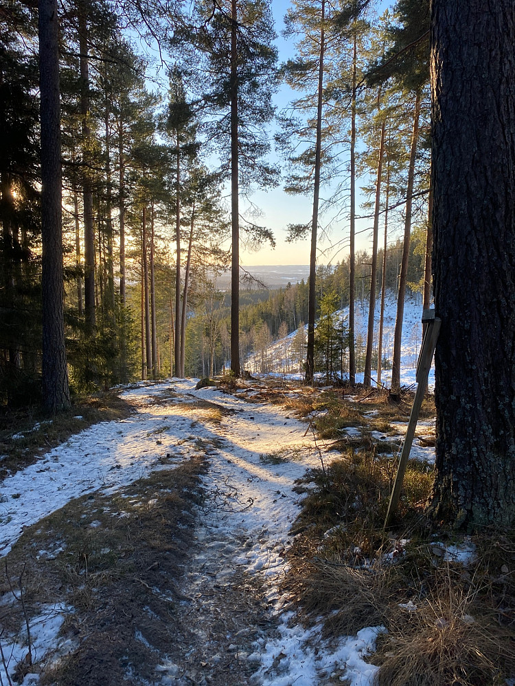 Fra stien mot Mjøsa.