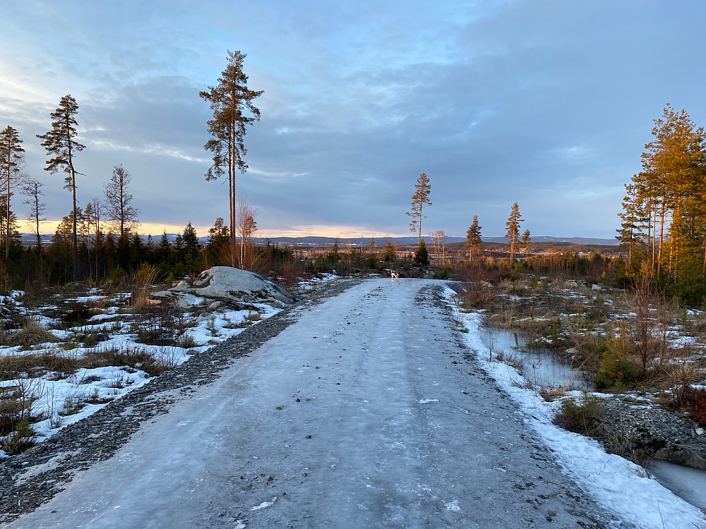 Generelt lite snø, lurt med piggsko på isholka, fint vær, god utsikt og vindmølleparken i Nird-Odal godt synlig.
