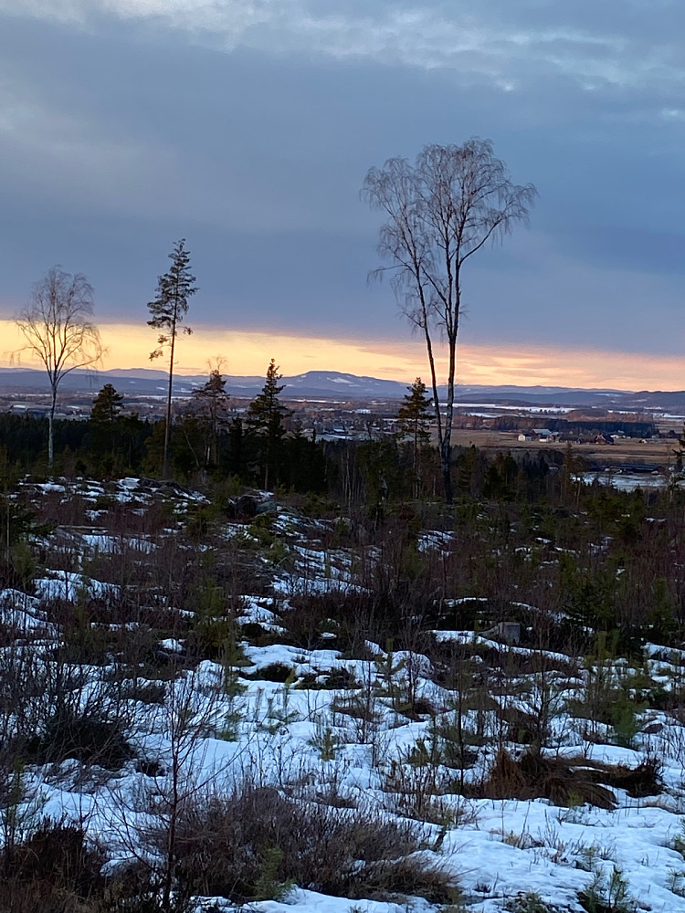 Masta på Mistberget i Eidsvoll er godt synlig midt i bildet.