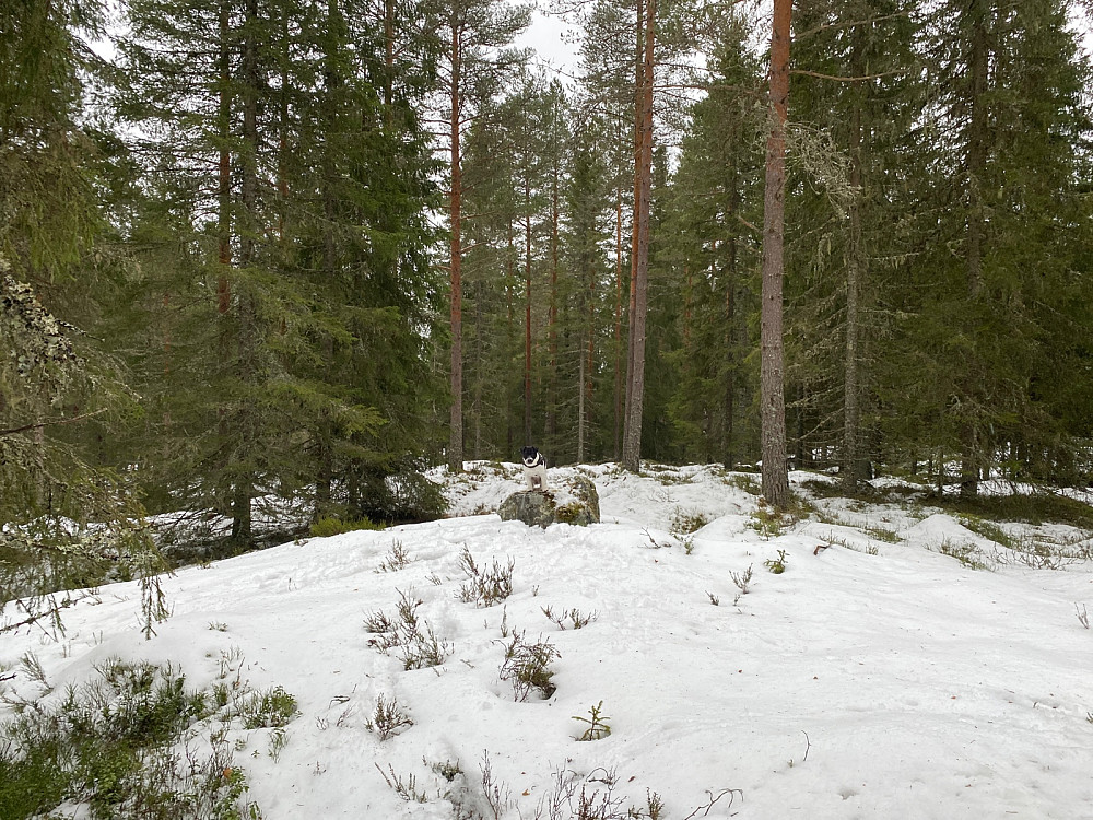 Toppunktet i regnværet.