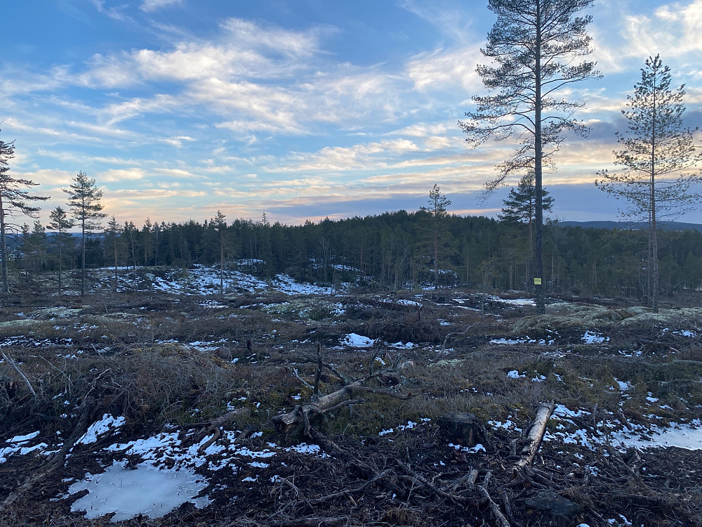 Fra nordre del av åsen mot høyeste punkt på sørenden