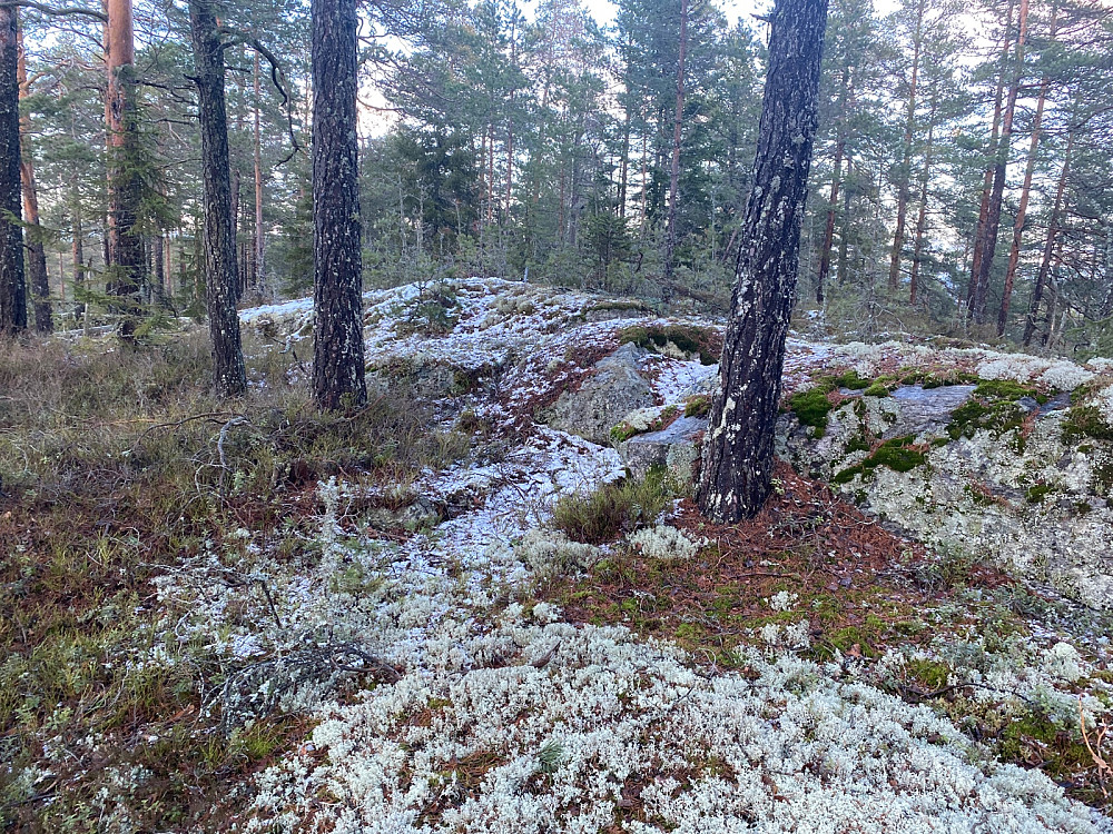 Pb-bildet av toppen